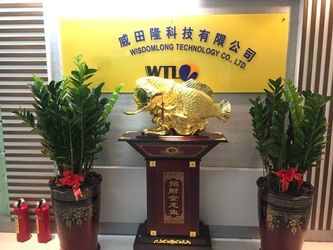 China Wisdomlong Technology CO.，LTD Unternehmensprofil