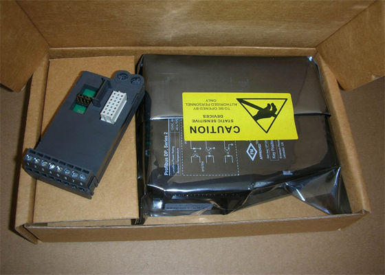 Prüfer-Redundant Power Supply-Modul VE3007 Emerson DeltaV