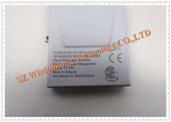 Emerson DeltaV Analogeingabe KL3021X1-BA1 12P4628X062 AI 4-20mA Charme HIRSCH-Input-/Outputsubsystem