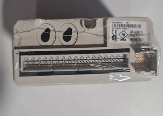 ABB DO810 3BSE008510R1 PLC Digital Output Isoliertes Modul 24 V Kurzschlusssicherung