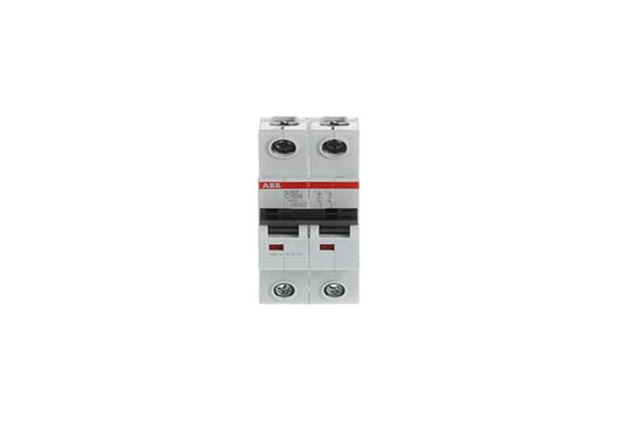 ABB S202-C100 2CDS252001R0824 S202-C100 Miniatur-Schaltungsschalter - 2P - C - 100 A
