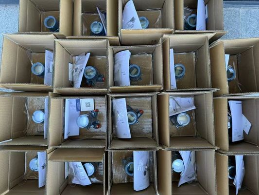 Rosemount 3051TG1A2B21A Messdrucktransmitter zur Prozesssteuerung