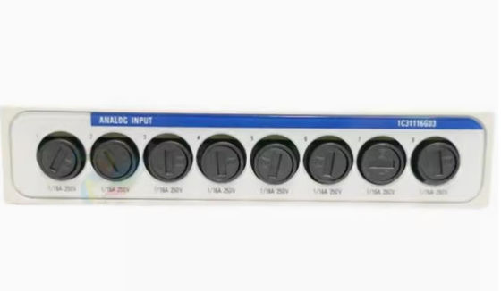 Westinghouse 1C31116G03 Ovationsmodul 0-20mA Lokalbetriebenes Analog-Eingangs-Persönlichkeitsmodul